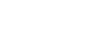 Lexington Scouts